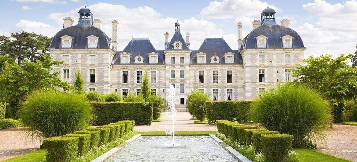 Au Paradis De Sologne Romorantin-Lanthenay Rum bild